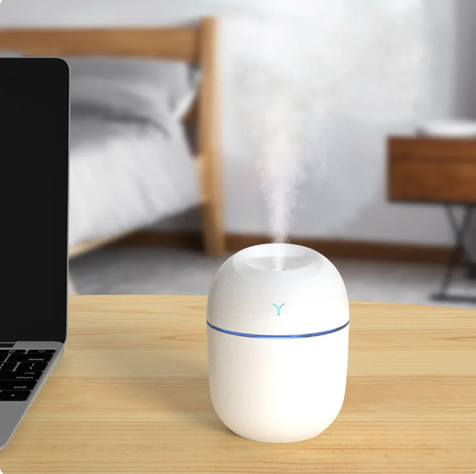 Mini Humidifier