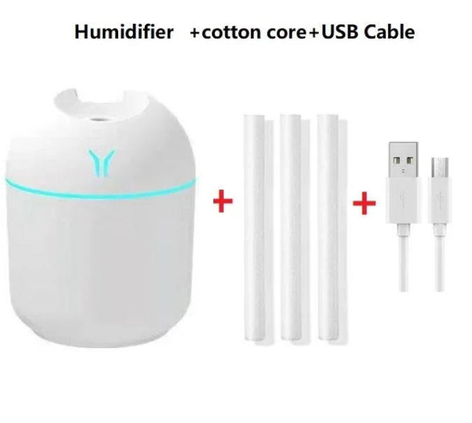 Mini Humidifier