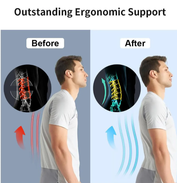 Lumbar Back Support Belt