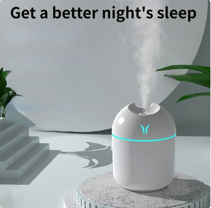 Mini Humidifier